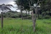 1 ACRE PRIME LAND FOR REDEVELOPMENT IN KAREN GATED COMMUNITY