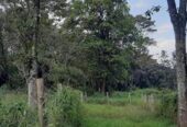 1 ACRE PRIME LAND FOR REDEVELOPMENT IN KAREN GATED COMMUNITY